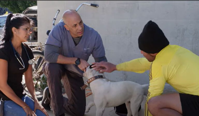 “Street Vet” Provides Free Care for Pets of Individuals Experiencing Homelessness