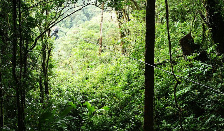 94-Year-Old Honors Late Wife with Viral Zip Line Ride