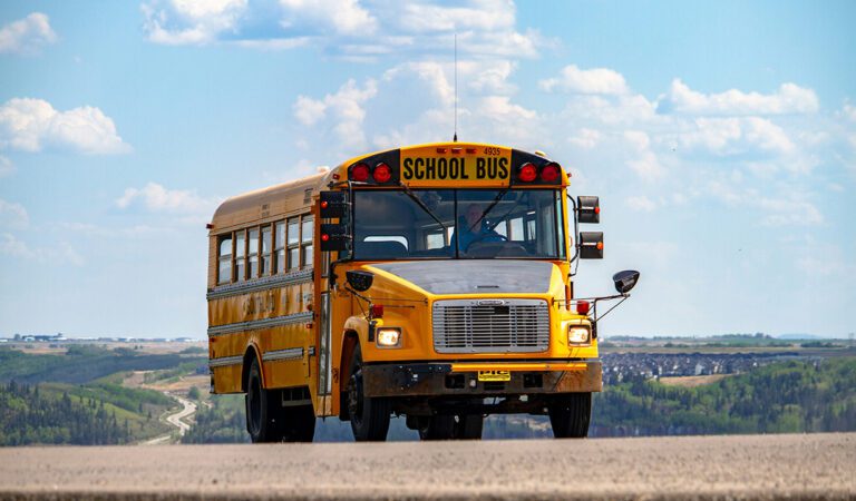 School Bus Driver’s Act of Kindness Transforms Student’s Day